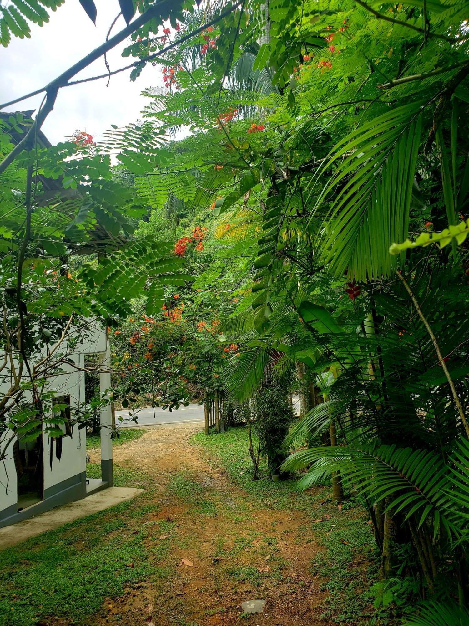 Pousada Villa Da Gama Paraty Bilik gambar